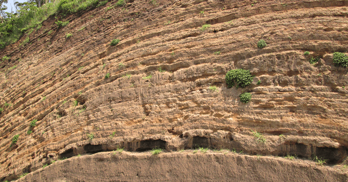 【調査業務について】地質／土質／植生／集水域 | 流域測量設計事務所－福島県郡山市